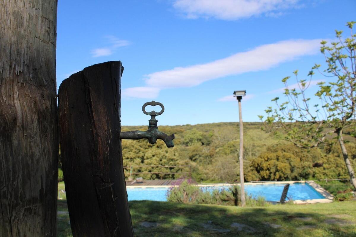 Апартаменты Quinta Da Devesa B1 Виньяйш Экстерьер фото